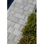 BEST- BELISIMA 60mm, colormix BRILANT, standard, 12,6m2/pal