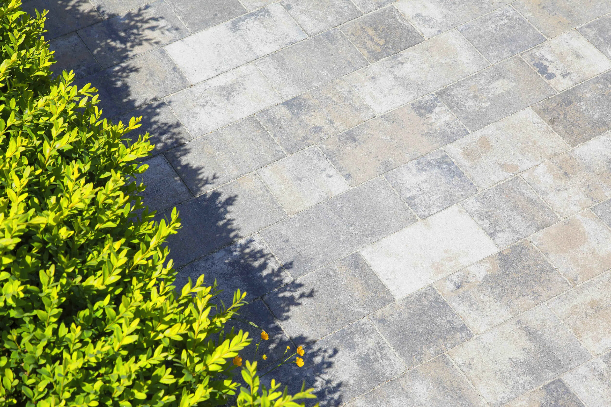 BEST- BELISIMA 80mm, colormix ARABICA, sametový UV povrch,  9m2/pal