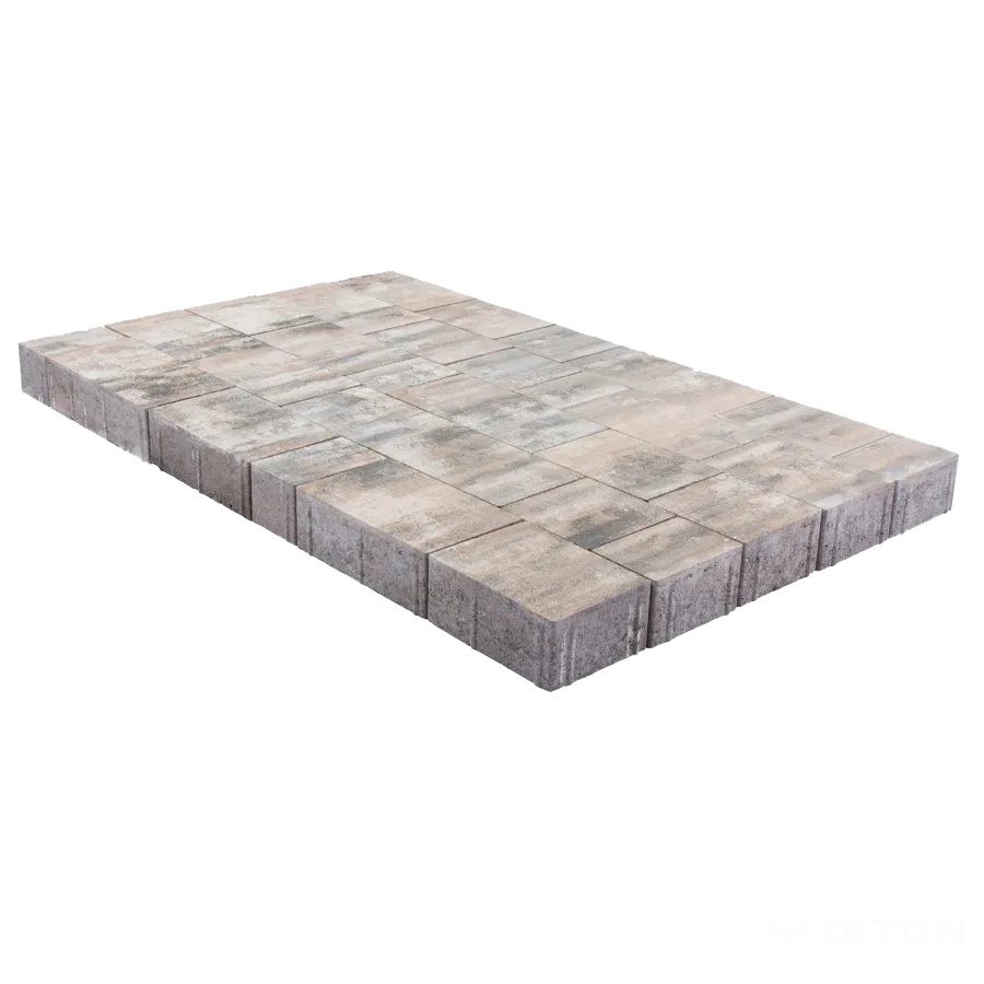 DITON Livorno intenso