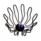 StabiCor M  hnědý 100  lapač listí