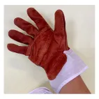 STOBER rukavice 2055D     DOWE